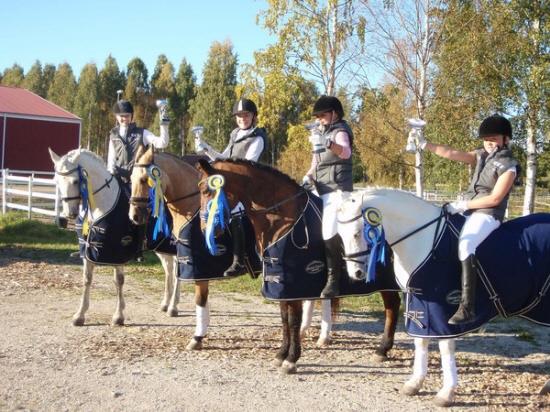 Vad innebär ett sponsorskap för Leksands Ridklubb? Leksands Ridklubb, LRK, har i dagsläget 242 medlemmar.