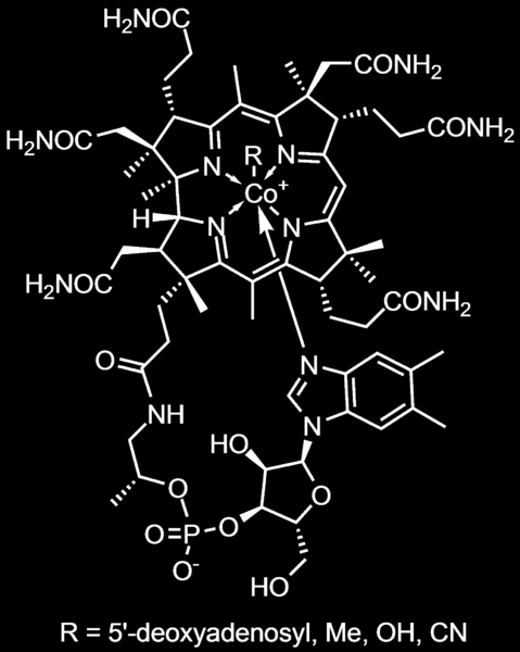 Kobolamin = B12 1920 1926 Whipple, Minot och Murphy fann att man kunde bota (perniciös) anemi med rå lever / leversaft