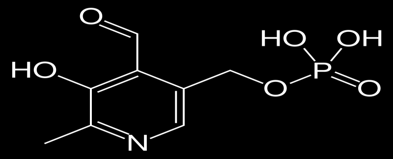 Vitamin B6 = pyridoxin 1934 Paul Geörgy (substans som botade en hudsjukdom hos möss) Vitamin B6 är nödvändig för nedbrytning och nyframställning av aminosyror,