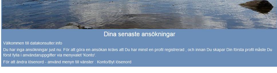 För in dina användaruppgifter i textrutorna och bocka i Konsult-checkboxen. 3.