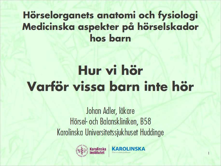 Hämta bildspel: htp:/wz.se/v Innehål Hörsel Hur kan vi höra? Varför hör vi? Hur hör vi? Varför hör vi inte? Vilka barn kan inte höra som andra barn? Hur hitar vi dessa barn?