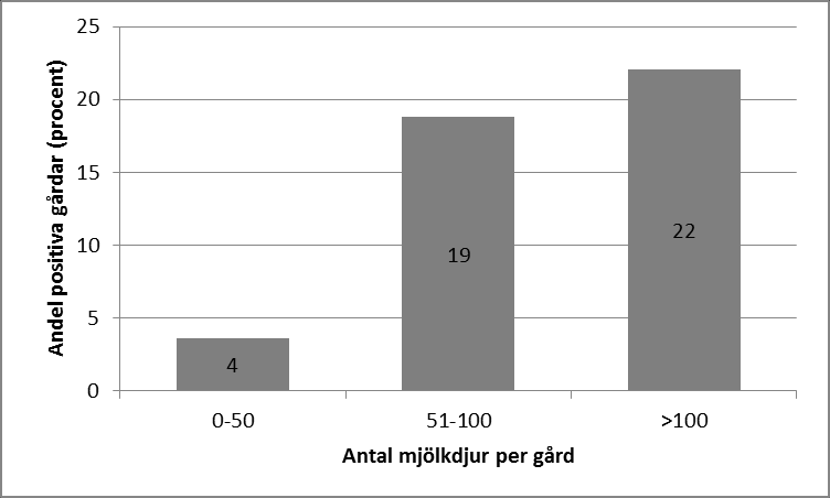 Termotoleranta campylobacter Anrikningsbuljonger från 93 (31 procent) av de 302 mjölkfiltren var positiva vid PCR-analys för termotoleranta campylobacter.