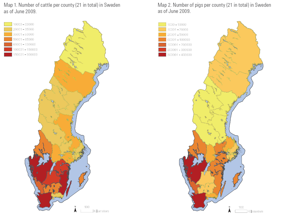 tredje plats efter Skåne och Östergötland. Värt att notera är att det inte finns några slaktkycklingbesättningar norr om Mälaren.