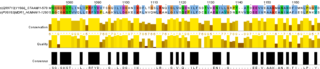 2) Bioinformatiska metoder: funktion från aminosyrasekvens Likheter i aminosyrasekvens antyder liknande funktion Kan