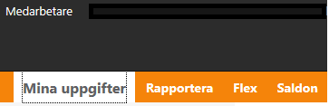 Visma Window -- Medarbetare Så här ser det ut när ni kommer in i Visma Window Medarbetare Detta är startsidan där du som medarbetare kan se viktig information samt