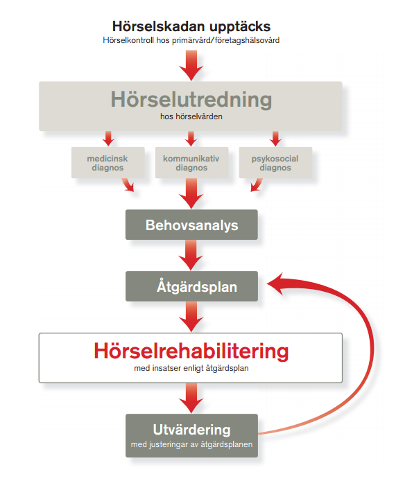 Rehabiliteringsprocessen För personer med förvärvad eller medfödd grav hörselnedsättning är arbetet utifrån evidensbaserad praxis av stor vikt för att underlätta och förbättra personens möjligheter