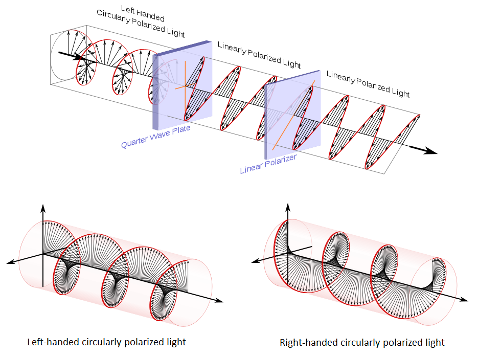 Teori Figur 8: Cirkulärpolariserat ljus 2.