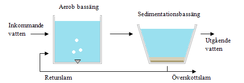 2 BAKGRUND 2.1 AKTIVSLAMPROCESS För att rena avloppsvatten i ett reningsverk krävs flera olika delsteg.