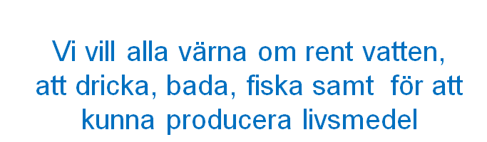 Under tiden som vi gick igenom åtgärder var det en livfull och mycket positiv dialog. Kvällen började lida mot sitt slut och strax innan avslutning är det en som räcker upp handen och säger.