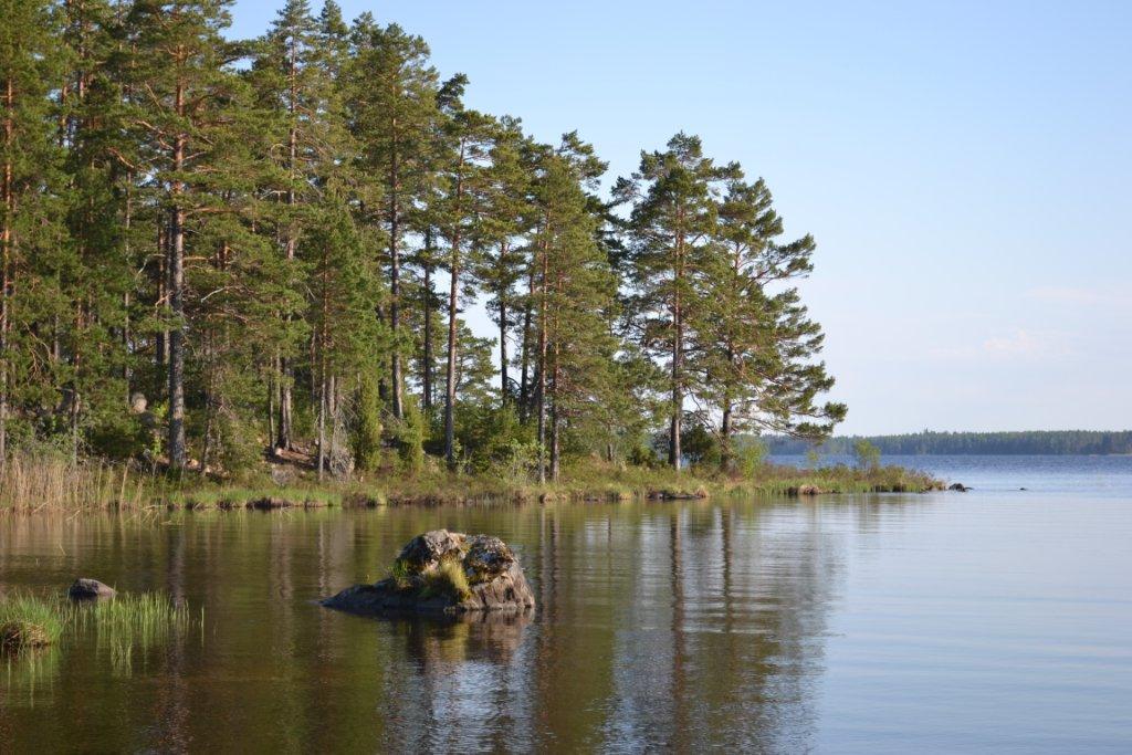 Utveckling i Hedesunda Fyrnäset, nordost om Östveda Foto: Axel Dahlberg Projektägare: Företagarföreningen i Hedesunda, ideell förening Projektledare: Axel Dahlberg Kommun: Gävle Dnr: 111 Jnr: 2012