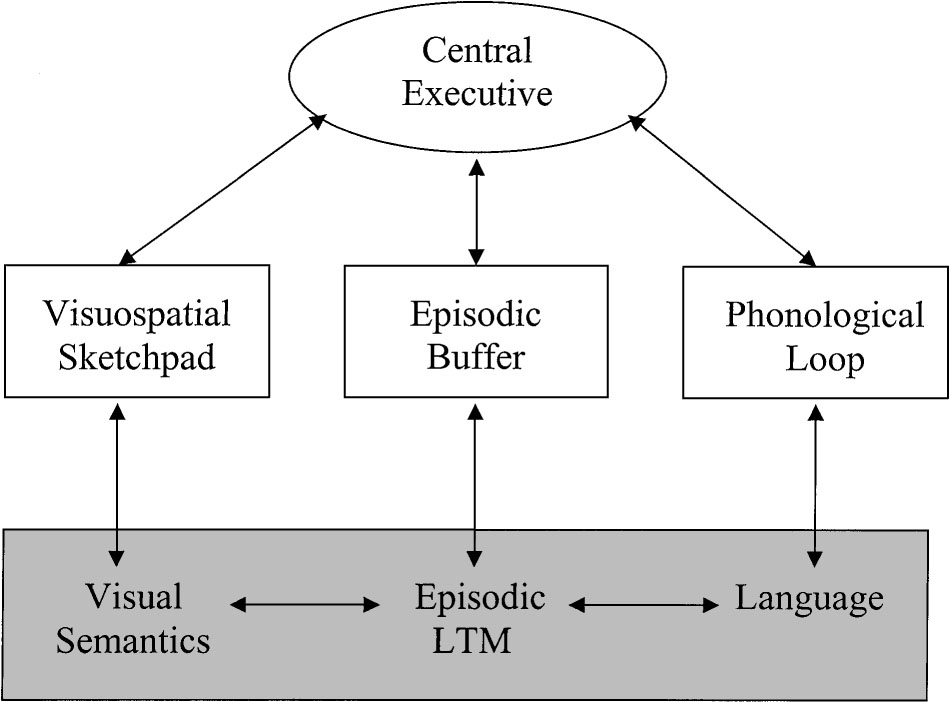 Figur 1. Arbetsminnets indelning enligt Baddeley & Hitch (1974) och Baddeley (2000). Långtidsminnet delas in i två underkategorier, icke-deklarativt och deklarativt minne.