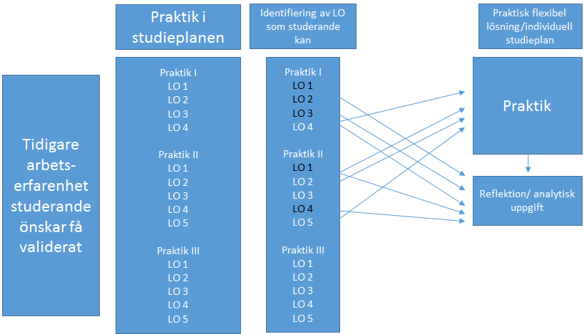 Figur 3 Individuellt planerad praktik med fokus på läranderesultat som inte uppnåtts genom t.ex. tidigare arbetserfarenhet.