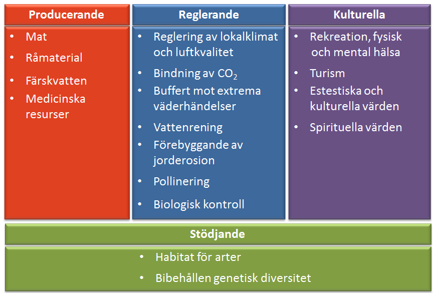 repo001.docx 2012-03-29 1.2 Klassificering TEEB klassificerar ekosystemtjänster enligt följande. Det är den klassificering vi utgår från i denna rapport. Bild 1.