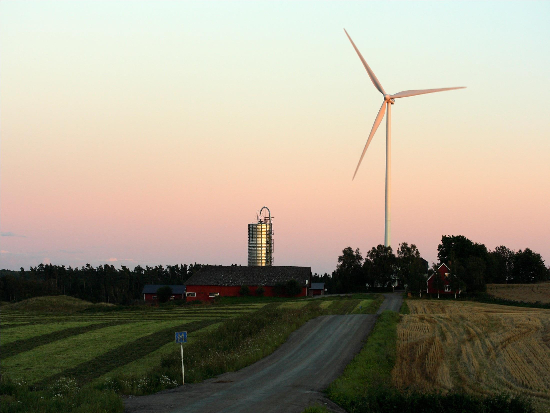 Dödlighet vid vindkraftverk Idag ca 6 000-30 000 fåglar per