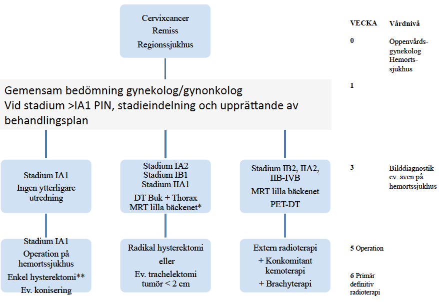 5. UTREDNING Sammanfattning Diagnos verifieras alltid histologiskt med biopsi för lokalt synlig eller avancerad tumör för mikroskopiska tumörer utförs konisering och cervixabrasio.