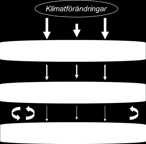 1 Inledning 1.