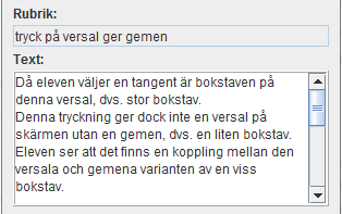 Tabellen redogör för vilka inre element Ingegerd berättade om. Följande bild av hennes strateginät visar hela sammanhanget, hur de hängde samman i tankegångar, strategikedjor.