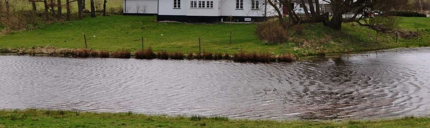 Till egendomen hör ca 5,7 ha hagar och dammar kringgärdat av Frihults naturreservat, vilket innebär att ingen ny bebyggelse kommer att kunna ske i närområdet i framtiden.