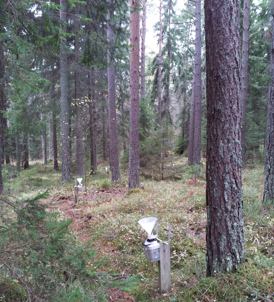 NR C 106 JUNI 2015 RAPPORT För Länsstyrelsen i Stockholms län och Swedavia Tillståndet i skogsmiljön i Stockholms län Resultat