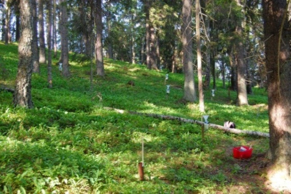 Mätningar av deposition och markvatten i skogsytan samt deposition i en närliggande yta på öppet fält startade i oktober 1996.
