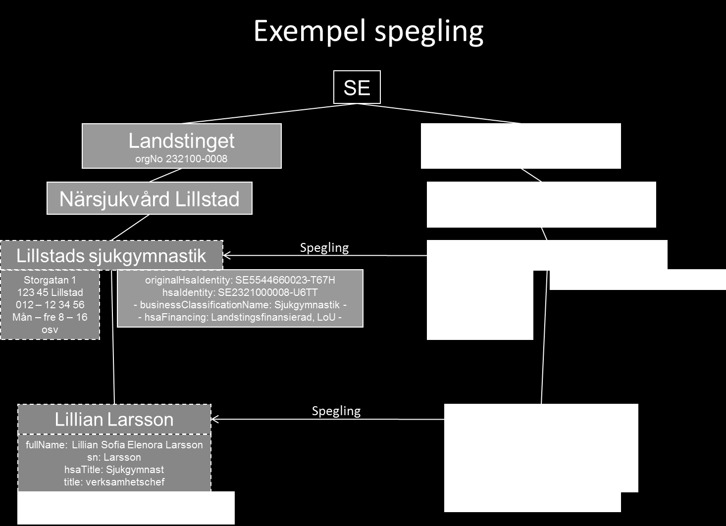 Begränsningar vid spegling är att en enhet under offentlig organisation har tillgång till alla avtalsformer som är offentligt