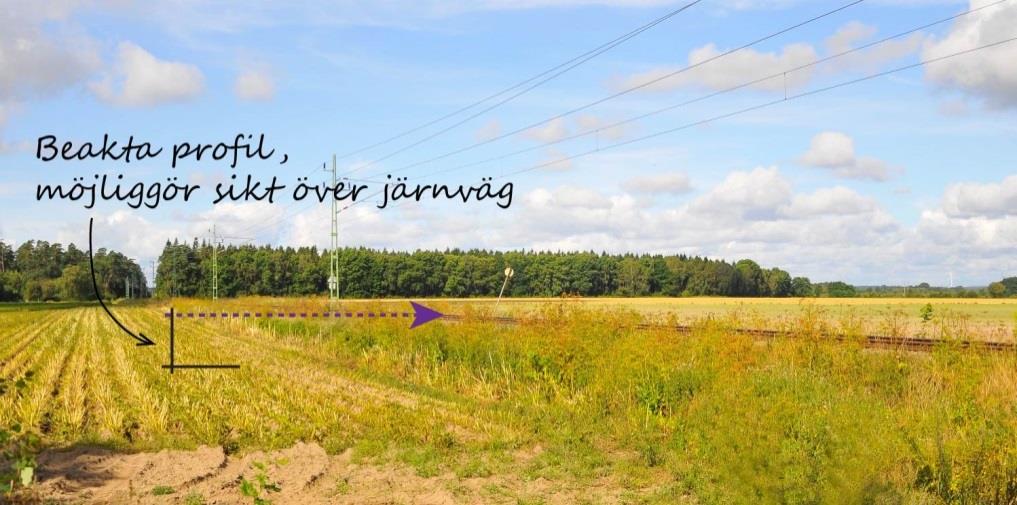 Befintlig vegetation bevaras i största mån, dock bör träd som står mellan järnvägen och gång- och cykelvägen avverkas för att tillgodose trädsäkring av järnvägen.