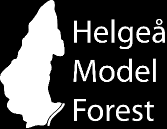 Fyra etablerade demonstrationsytor 4 Mölleröds kungsgård Hässleholm HIBAB, Helge å Model Forest och