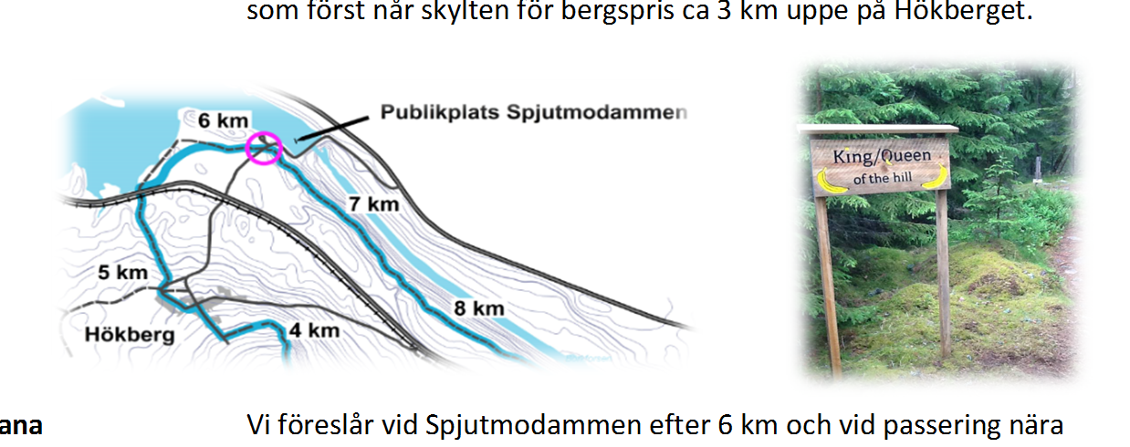 Bergspris Ett bergspris uttdelas till den dam- och herrlöpare som först når skylten för bergspris ca 3 km uppe på Hökberget.