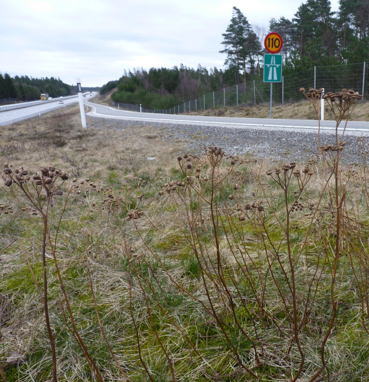 Ryamotet, Droppformad refug Härryda kommun,