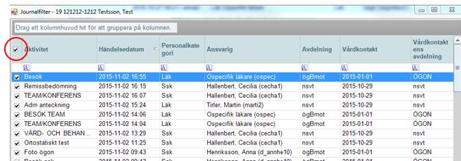 Om samtliga personalkategoriers anteckningar ska skrivas ut måste Personalkategori Alla väljas. Klicka på Journal och all textinformation läggs ut på läsytan.