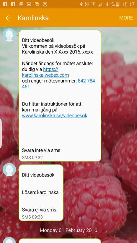 Förberedelser genomförs tillsammans med din vårdgivare då ni kommer överens om hur du ska få informationen gällande. För att kunna ansluta till det bokade besöket behövs ett mötesnummer ett lösenord.