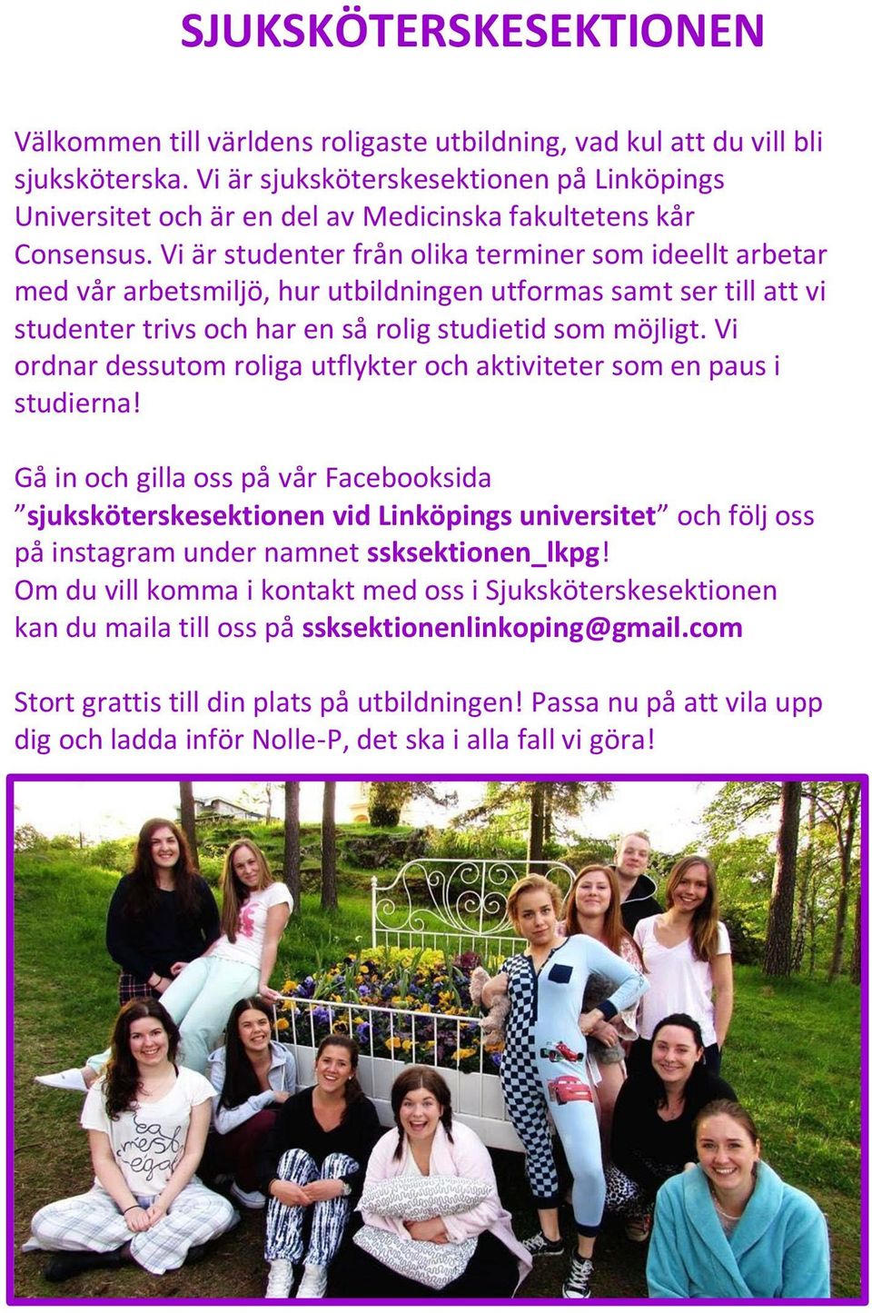 Vi är studenter från olika terminer som ideellt arbetar med vår arbetsmiljö, hur utbildningen utformas samt ser till att vi studenter trivs och har en så rolig studietid som möjligt.