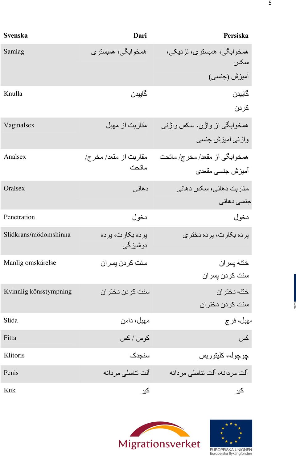 Slidkrans/mödomshinna پردە بکارت پردە دختری پردە بکارت پردە دوشیزگی Manlig omskärelse سنت کردن پسران ختنه پسران سنت کردن پسران ختنه دختران سنت کردن دختران Kvinnlig