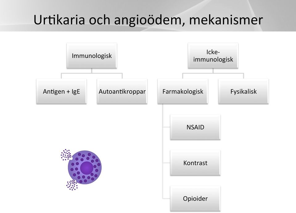 AnHgen + IgE AutoanHkroppar