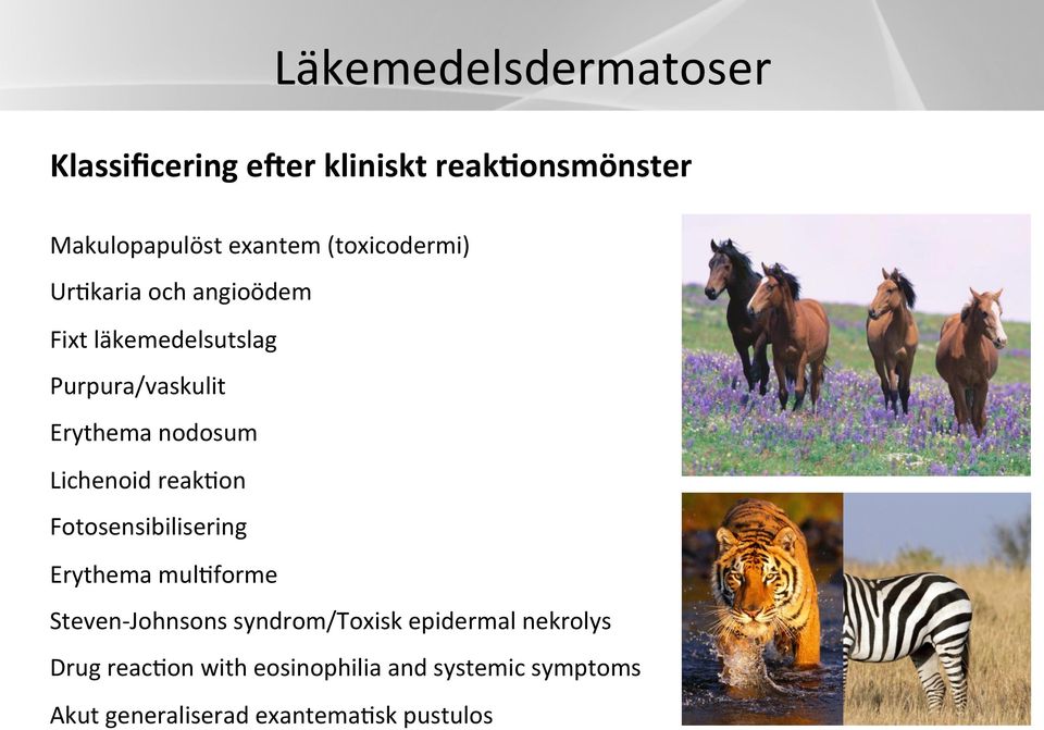 Lichenoid reakhon Fotosensibilisering Erythema mulhforme Steven- Johnsons syndrom/toxisk