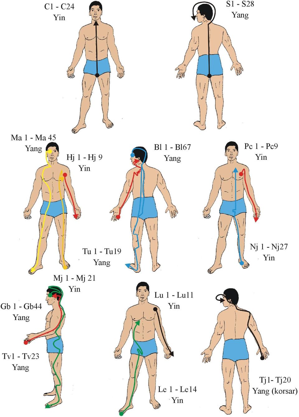 1 - Mj 21 Yin Gb 1 - Gb44 Yang Pc 1 - Pc9 Yin Lu 1 - Lu11