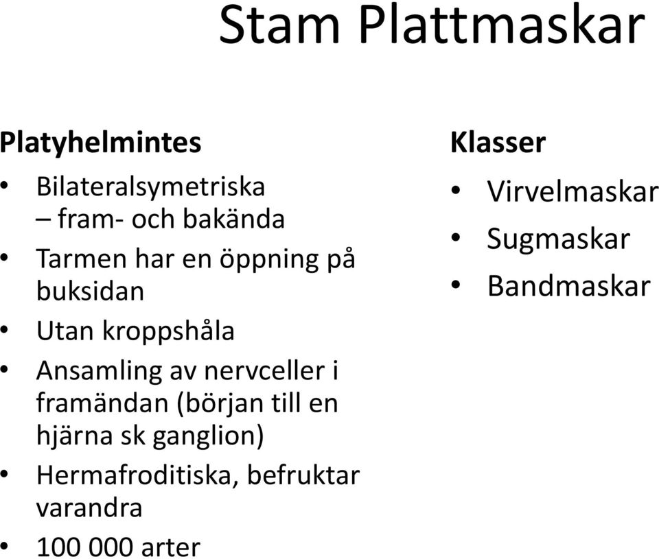 nervceller i framändan (början till en hjärna sk ganglion)