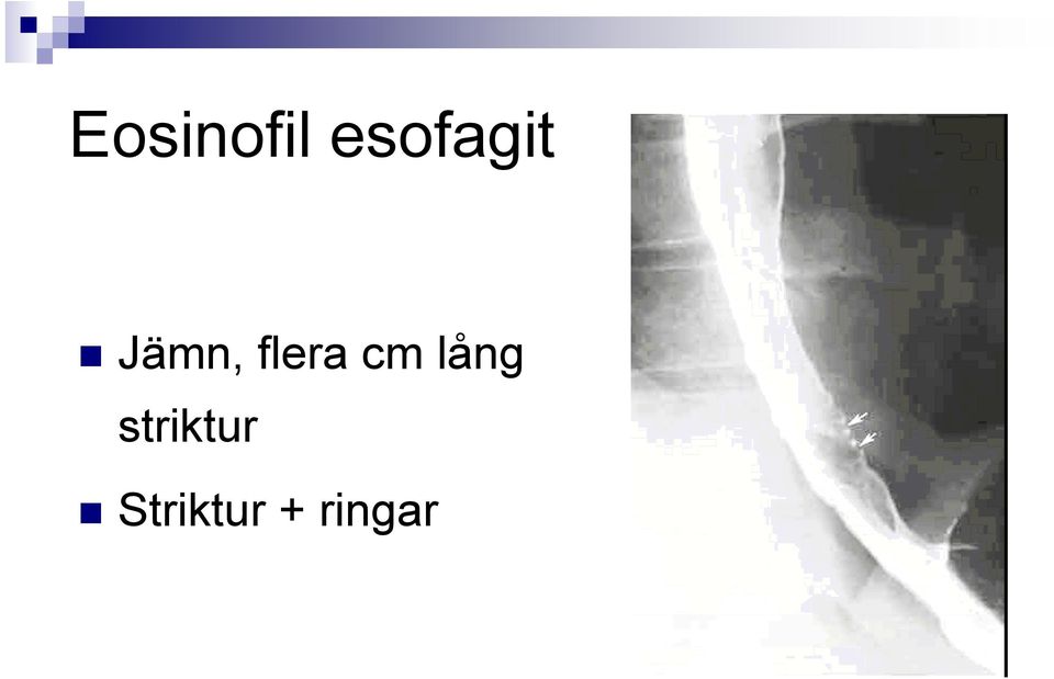 flera cm lång