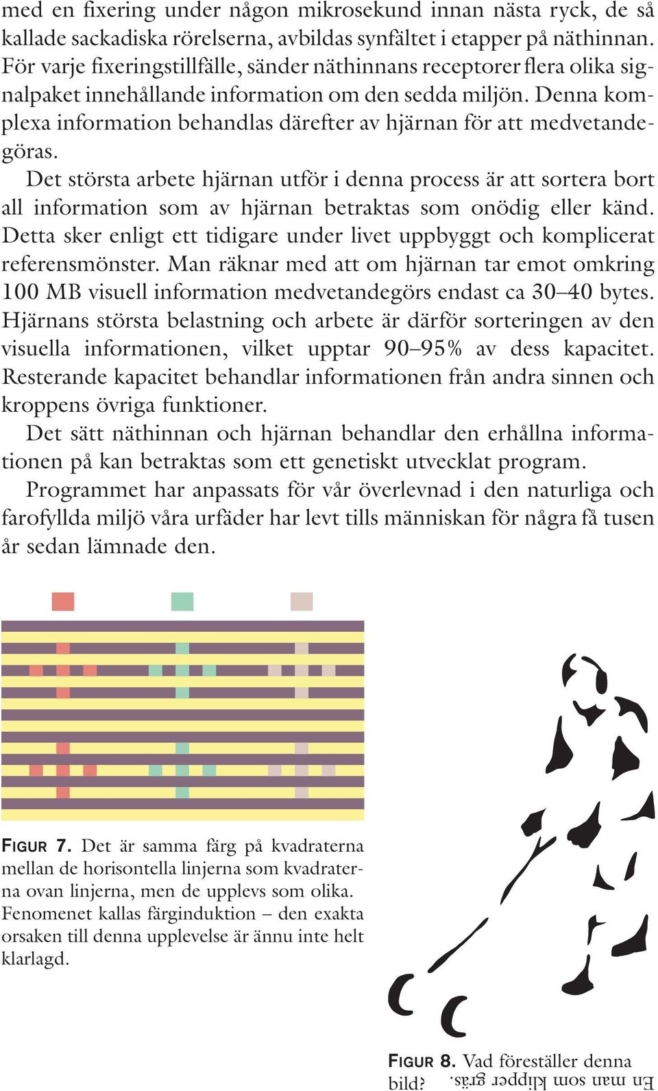 Denna komplexa information behandlas därefter av hjärnan för att medvetandegöras.