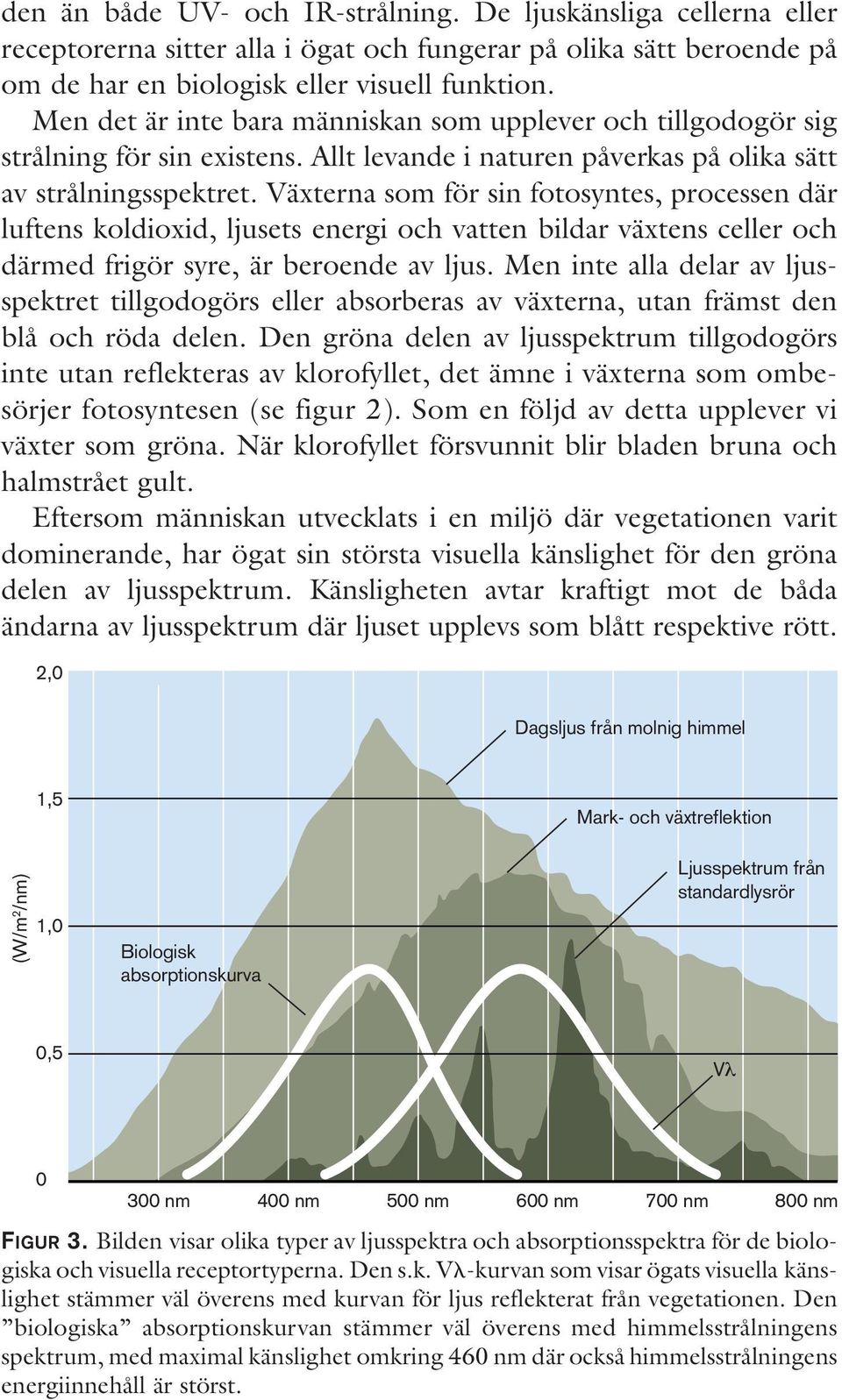 Växterna som för sin fotosyntes, processen där luftens koldioxid, ljusets energi och vatten bildar växtens celler och därmed frigör syre, är beroende av ljus.