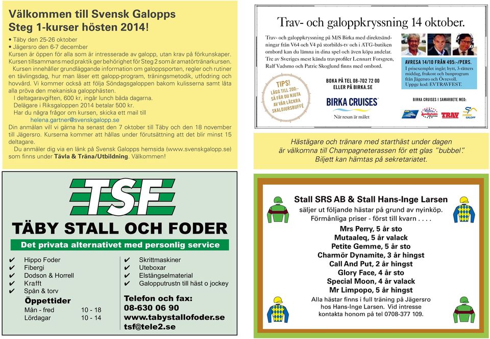 Kursen innehåller grundläggande information om galoppsporten, regler och rutiner en tävlingsdag, hur man läser ett galopp-program, träningsmetodik, utfodring och hovvård.