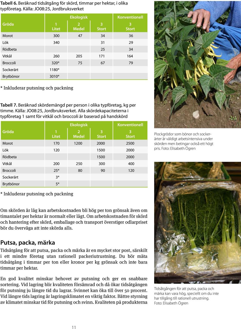 Inkluderar putsning och packning Tabell 7. Beräknad skördemängd per person i olika typföretag, kg per timme. Källa: JO08:25, Jordbruksverket.