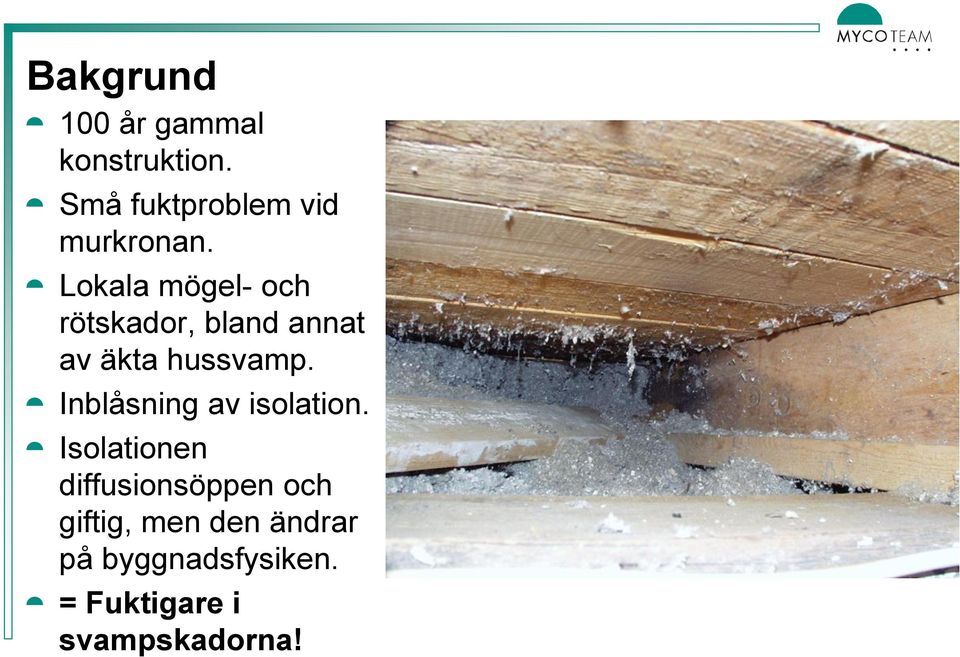 Lokala mögel- och rötskador, bland annat av äkta hussvamp.