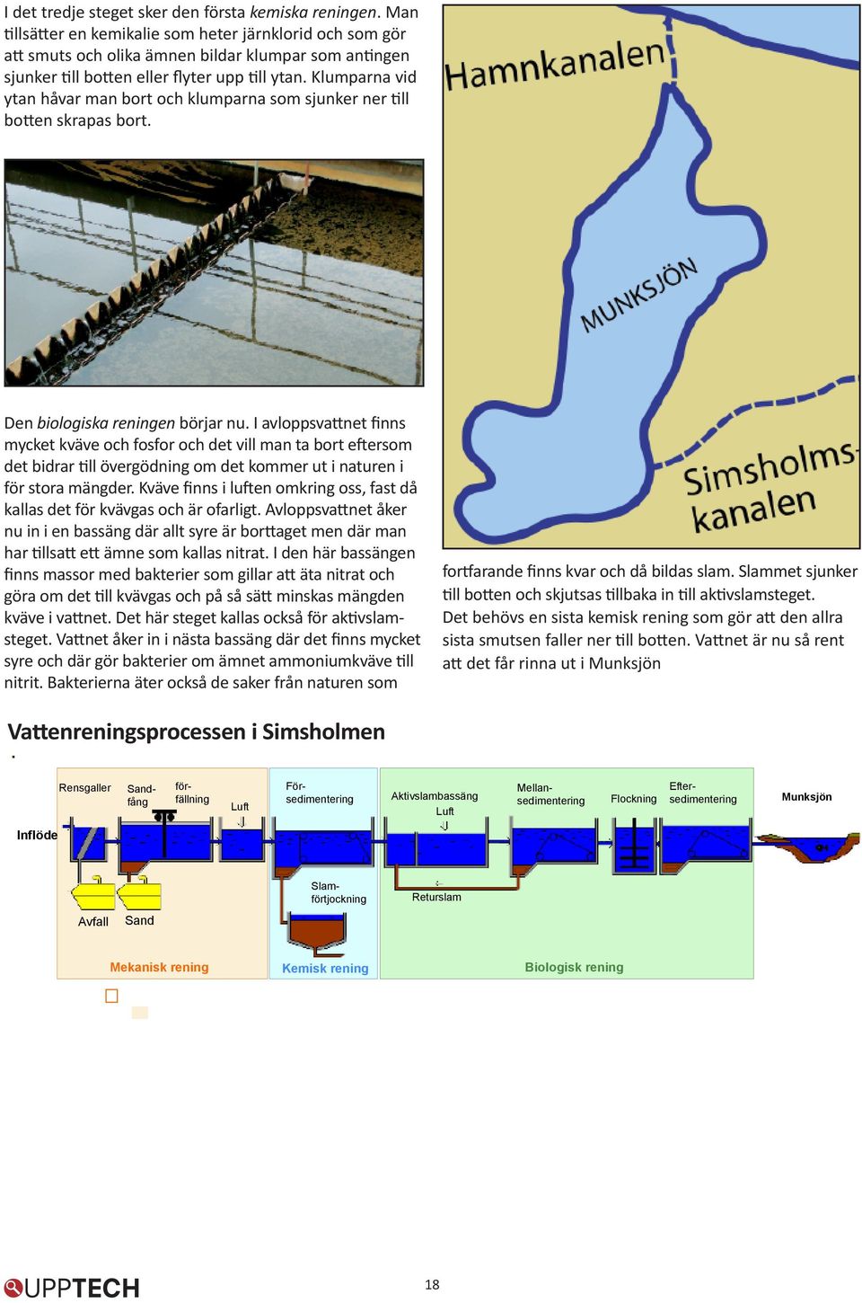 Klumparna vid ytan håvar man bort och klumparna som sjunker ner till botten skrapas bort. Den biologiska reningen börjar nu.