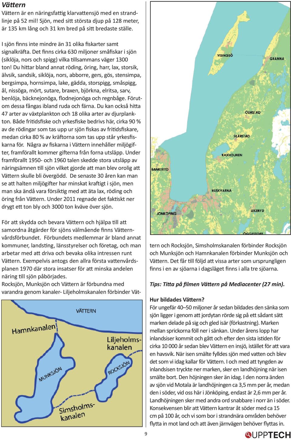 Du hittar bland annat röding, öring, harr, lax, storsik, älvsik, sandsik, siklöja, nors, abborre, gers, gös, stensimpa, bergsimpa, hornsimpa, lake, gädda, storspigg, småspigg, ål, nissöga, mört,