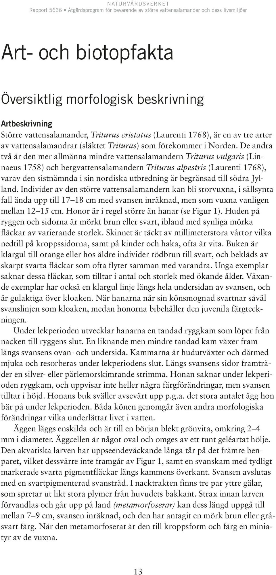 De andra två är den mer allmänna mindre vattensalamandern Triturus vulgaris (Linnaeus 1758) och bergvattensalamandern Triturus alpestris (Laurenti 1768), varav den sistnämnda i sin nordiska