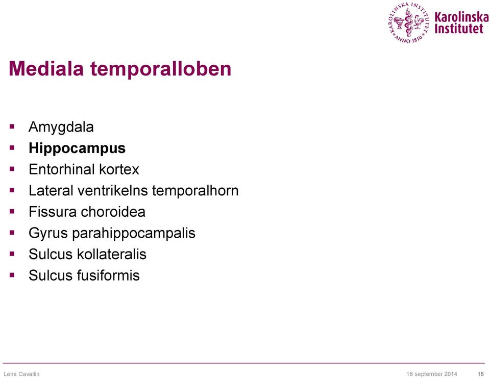 temporalhorn Fissura choroidea Gyrus