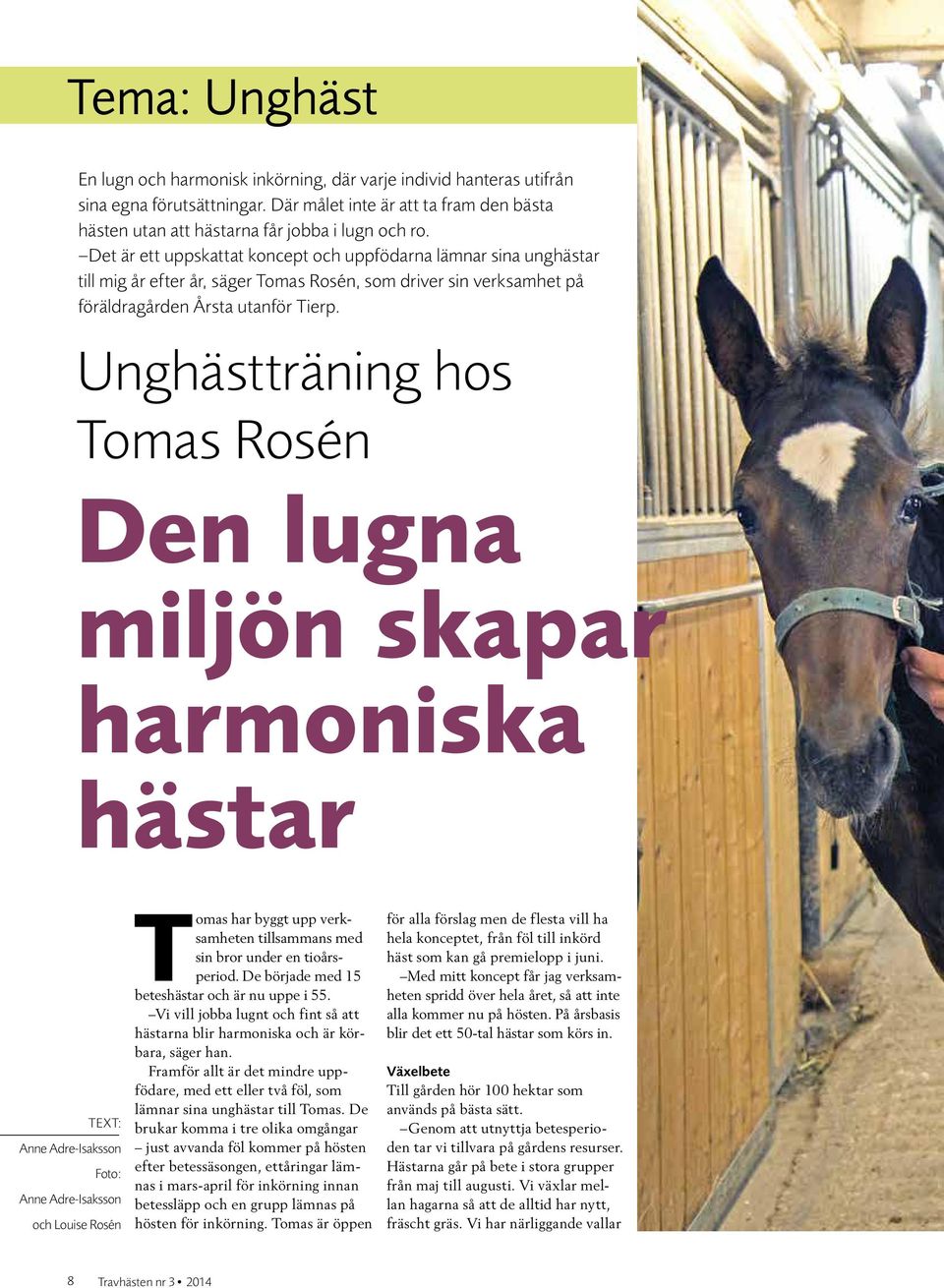 Unghästträning hos Tomas Rosén Den lugna miljön skapar harmoniska hästar TEXT: Anne Adre-Isaksson Foto: Anne Adre-Isaksson och Louise Rosén Tomas har byggt upp verksamheten tillsammans med sin bror