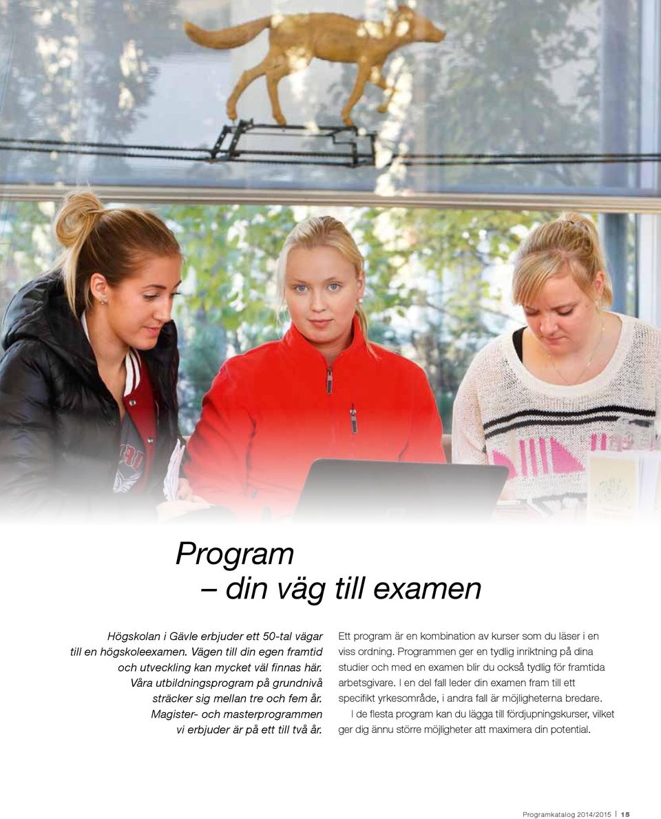 Ett program är en kombination av kurser som du läser i en viss ordning. Programmen ger en tydlig inriktning på dina studier och med en examen blir du också tydlig för framtida arbetsgivare.