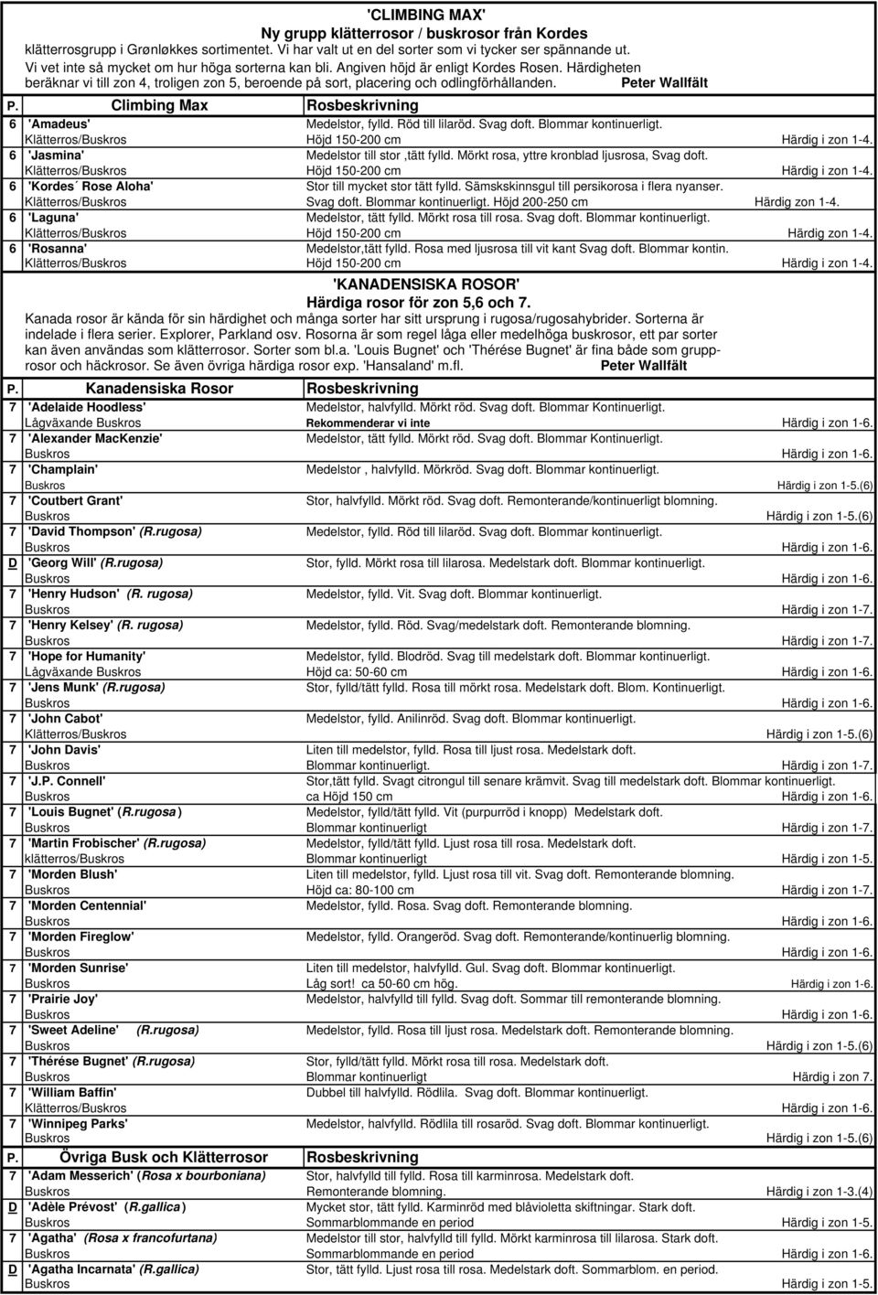 Peter Wallfält P. Climbing Max Rosbeskrivning 6 'Amadeus' Medelstor, fylld. Röd till lilaröd. Svag doft. Blommar kontinuerligt. 6 'Jasmina' Medelstor till stor,tätt fylld.